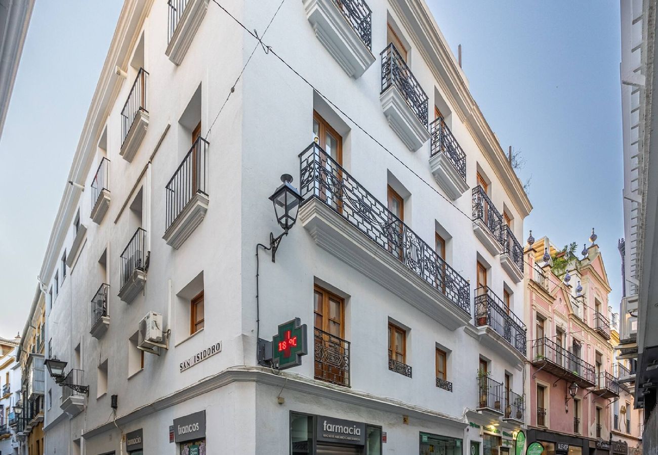 Apartamento en Sevilla - Duplex en antigua casa palacio