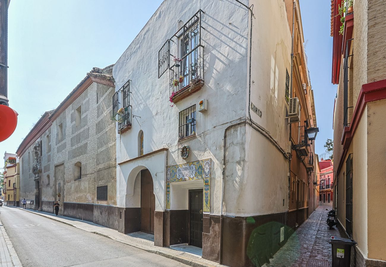Apartamento en Sevilla - Lirios de Sevilla - Vacacional Sevilla
