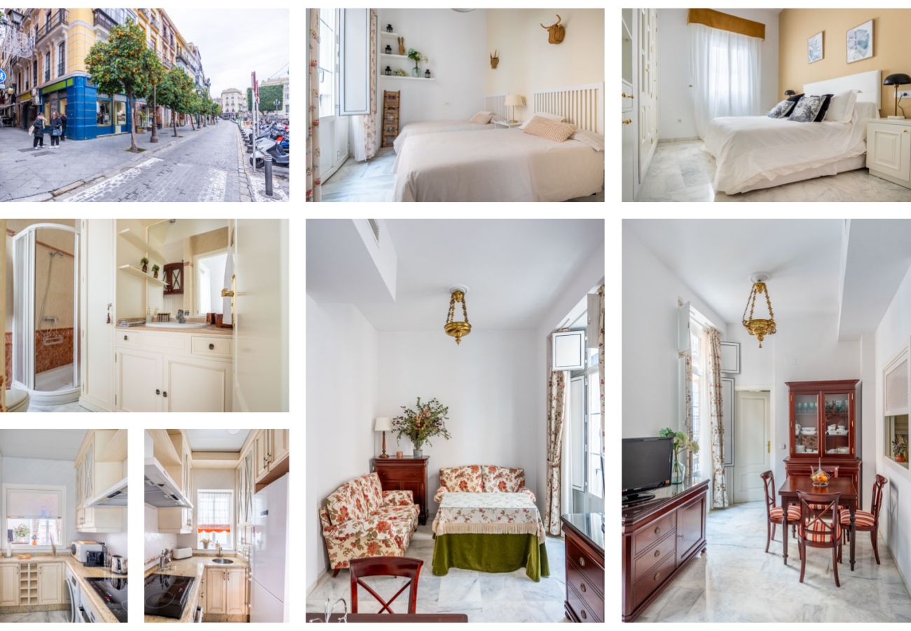 Apartamento en Sevilla - Chicarreros centro histórico - Vacacional Sevilla