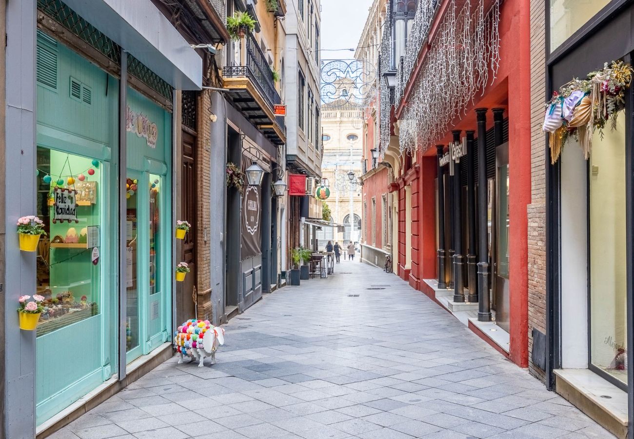 Apartamento en Sevilla - Chicarreros centro histórico - Vacacional Sevilla