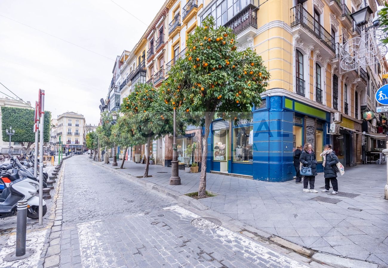 Apartamento en Sevilla - Espectacular apartamento en calle Chicarreros
