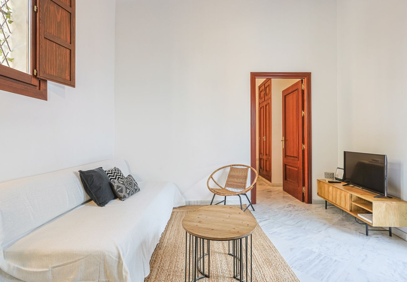 Apartamento en Sevilla - apartamento con encanto en centro Sevilla - Vacacional Sevilla