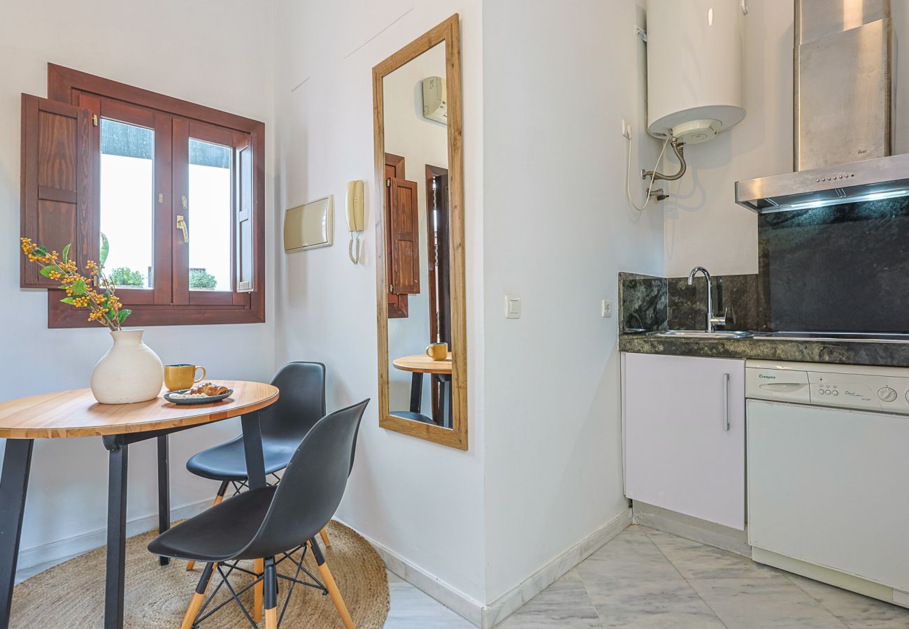 Apartamento en Sevilla - apartamento con encanto en centro Sevilla - Vacacional Sevilla
