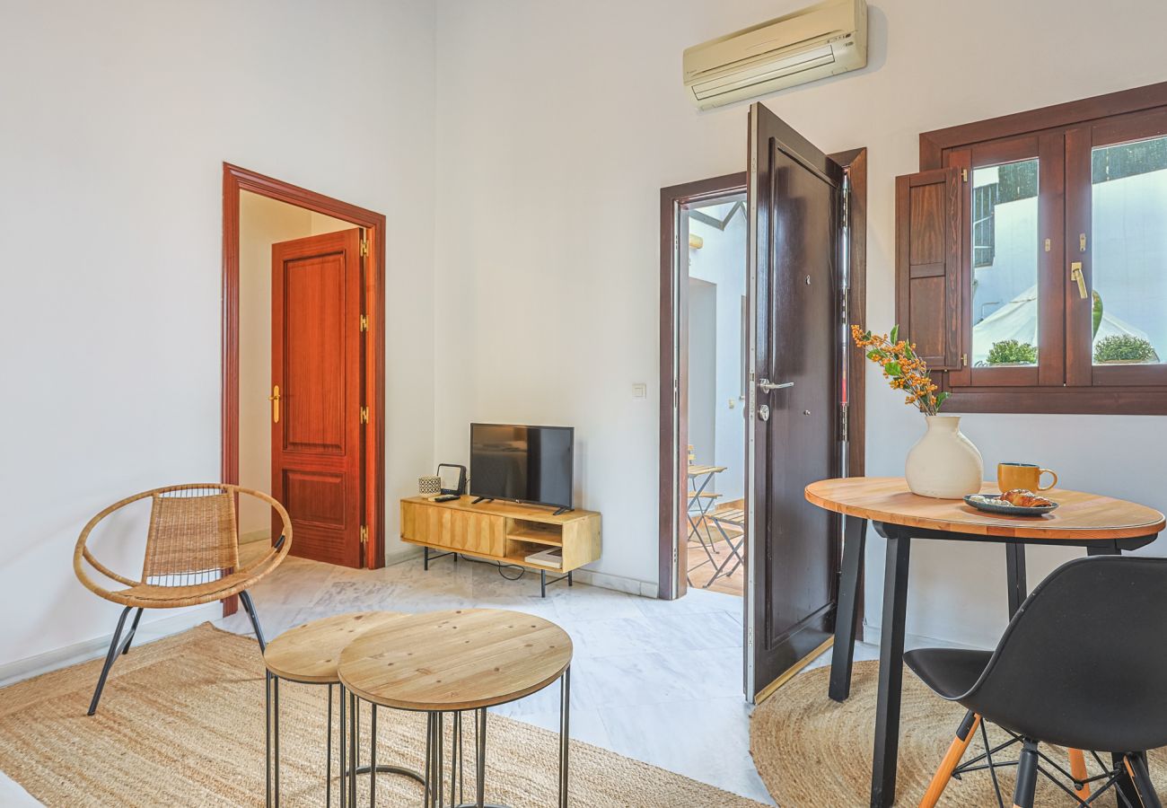 Apartamento en Sevilla - apartamento con encanto en centro Sevilla - Vacacional Sevilla