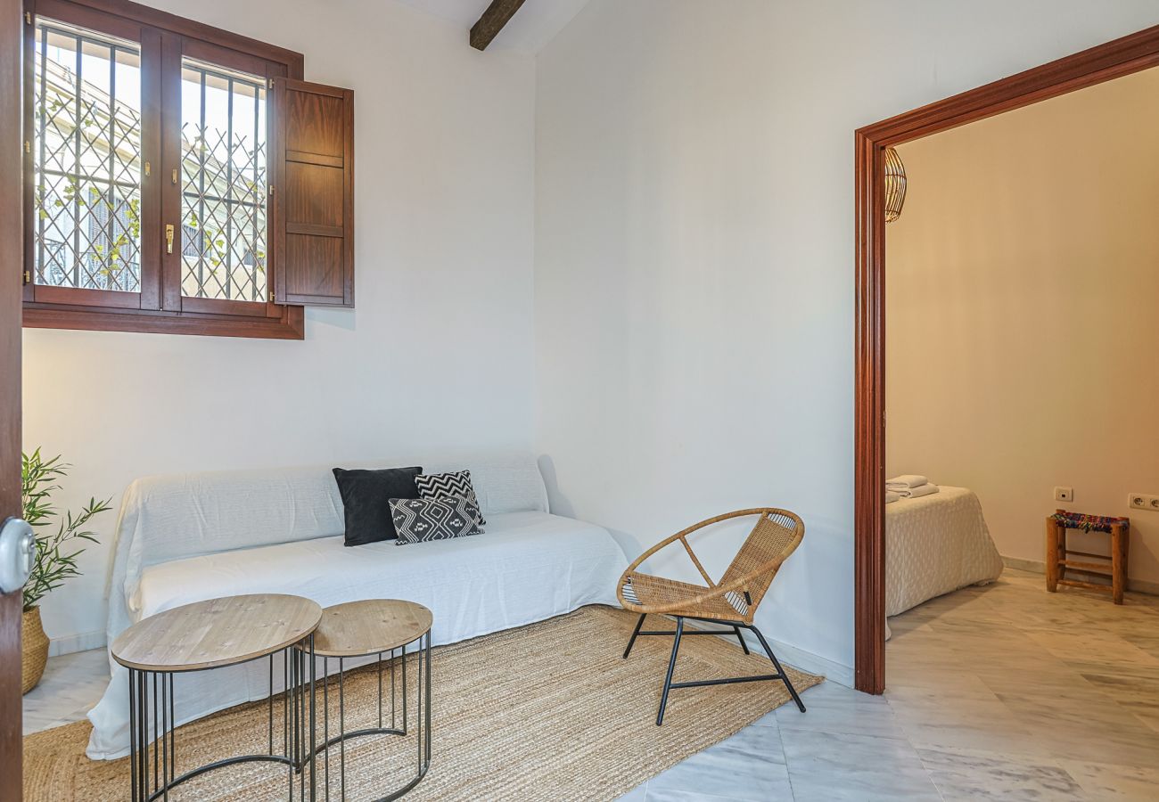 Apartamento en Sevilla - apartamento con encanto en centro Sevilla - Vacacional Sevilla