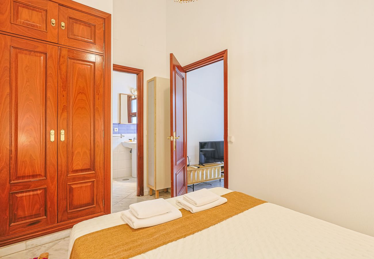 Apartamento en Sevilla - apartamento con encanto en centro Sevilla - Vacacional Sevilla
