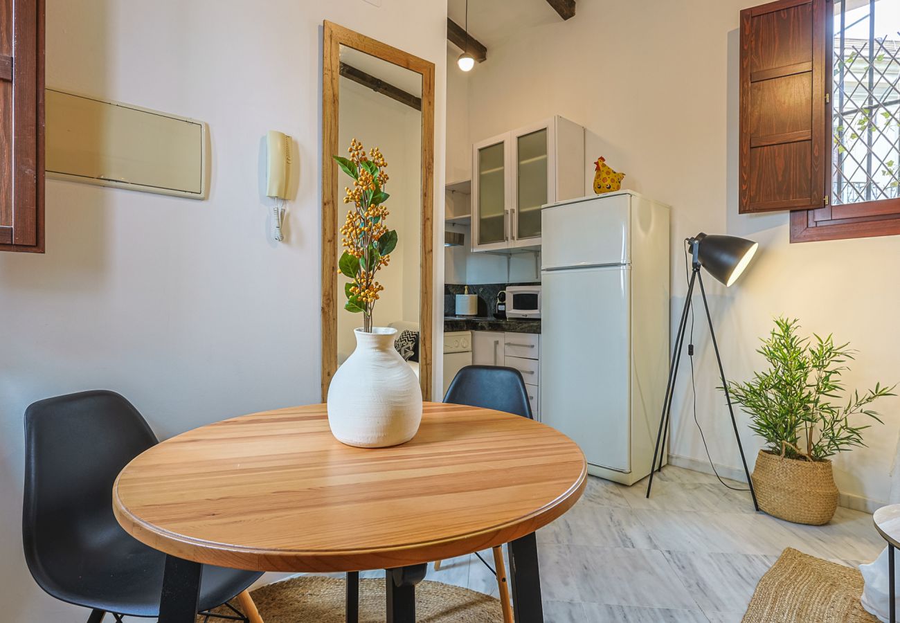 Apartamento en Sevilla - apartamento con encanto en centro Sevilla - Vacacional Sevilla