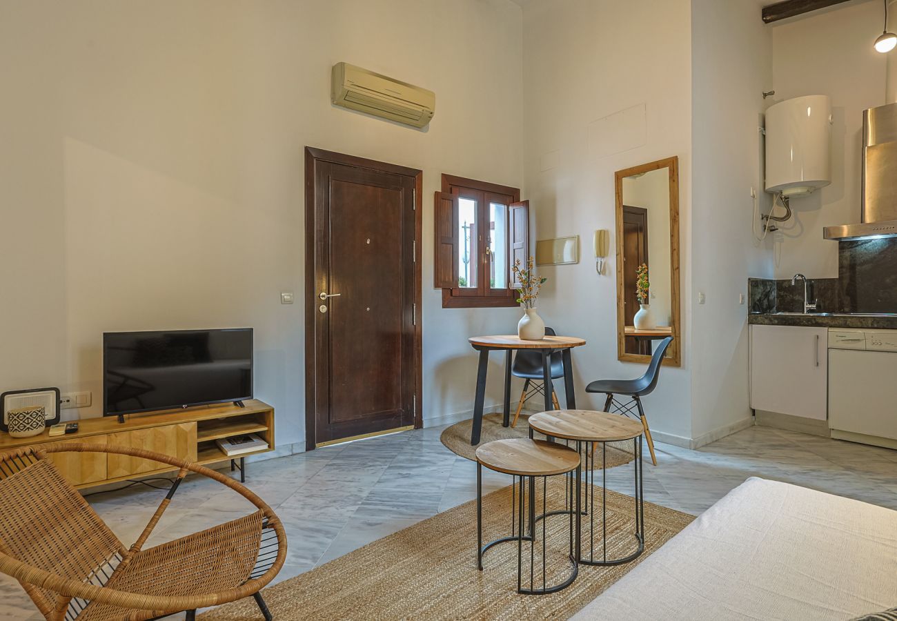 Apartamento en Sevilla - apartamento con encanto en centro Sevilla - Vacacional Sevilla