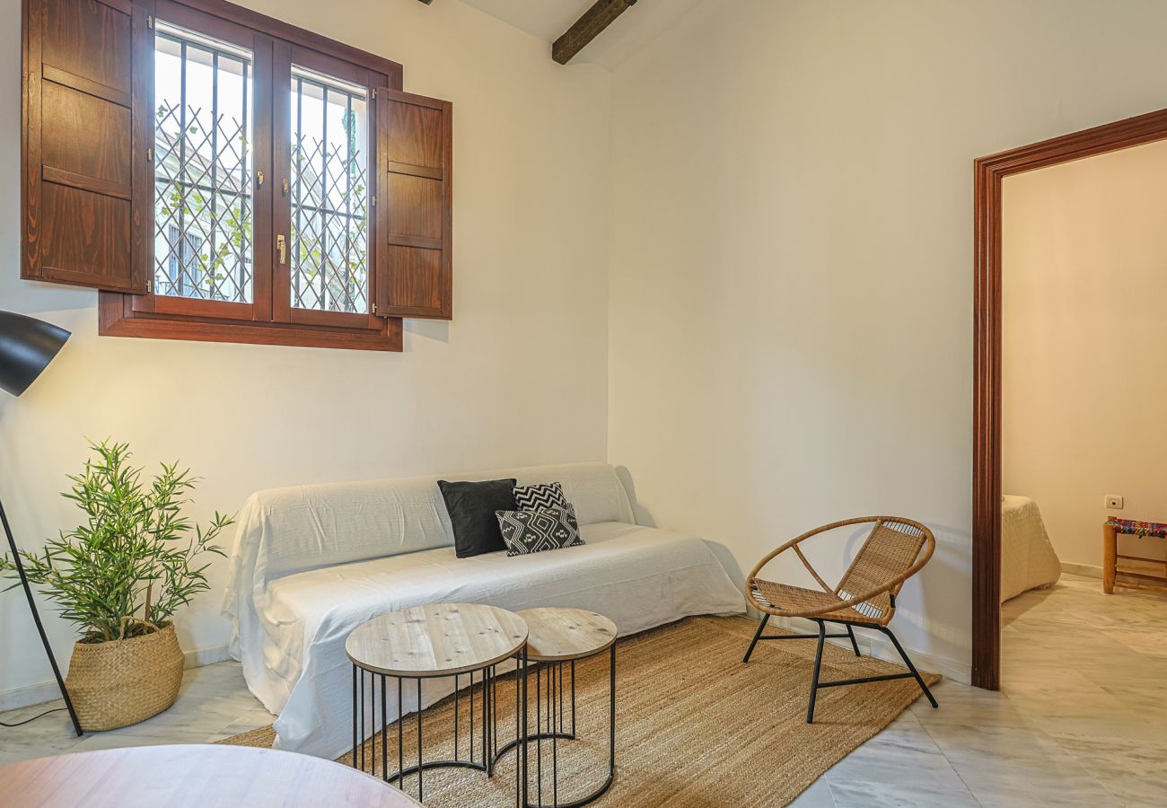 Apartamento en Sevilla - apartamento con encanto en centro Sevilla - Vacacional Sevilla