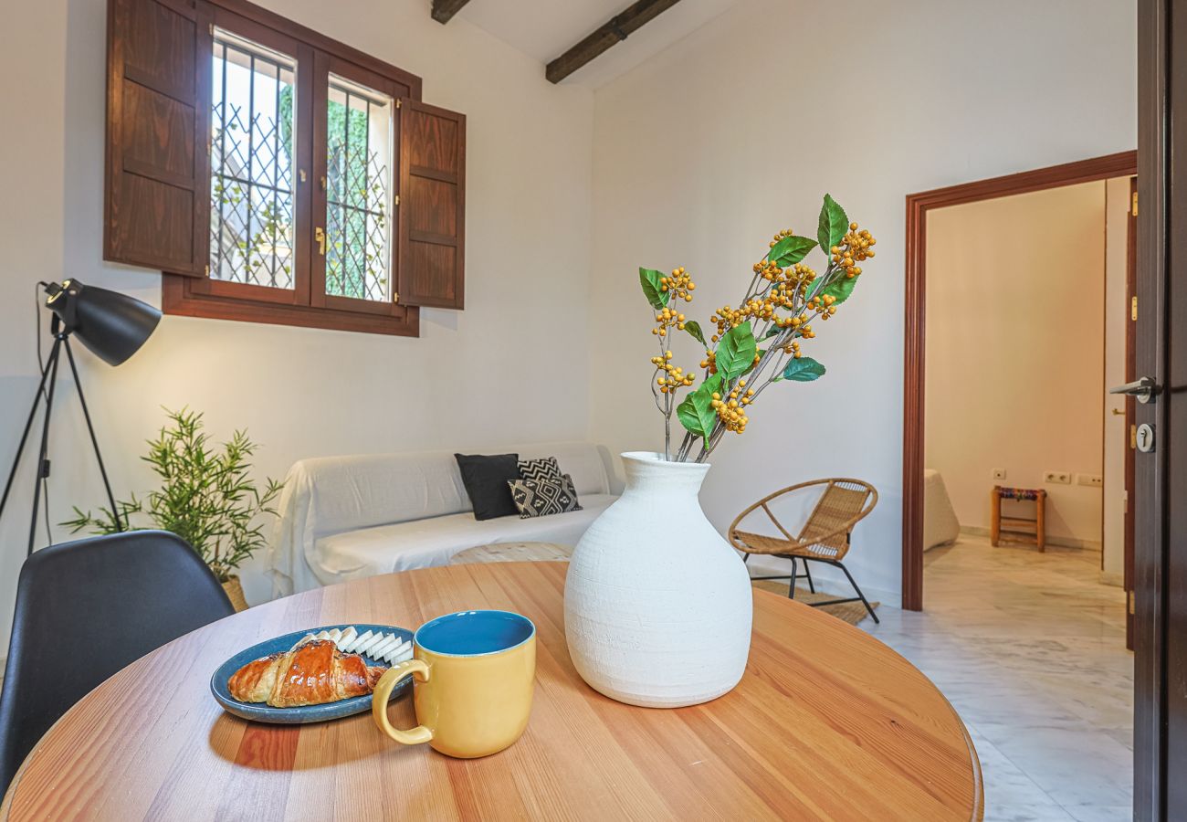 Apartamento en Sevilla - apartamento con encanto en centro Sevilla - Vacacional Sevilla