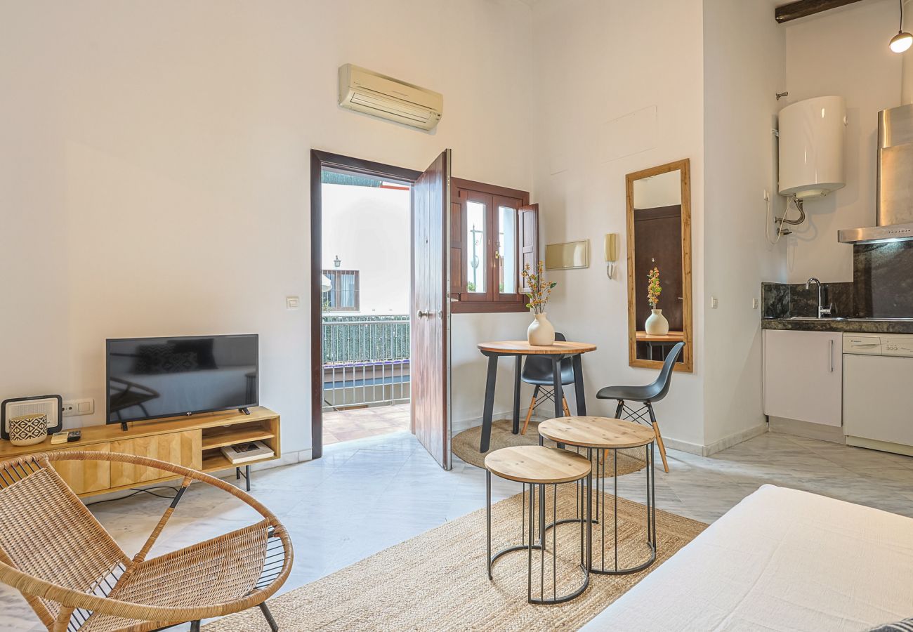 Apartamento en Sevilla - apartamento con encanto en centro Sevilla - Vacacional Sevilla