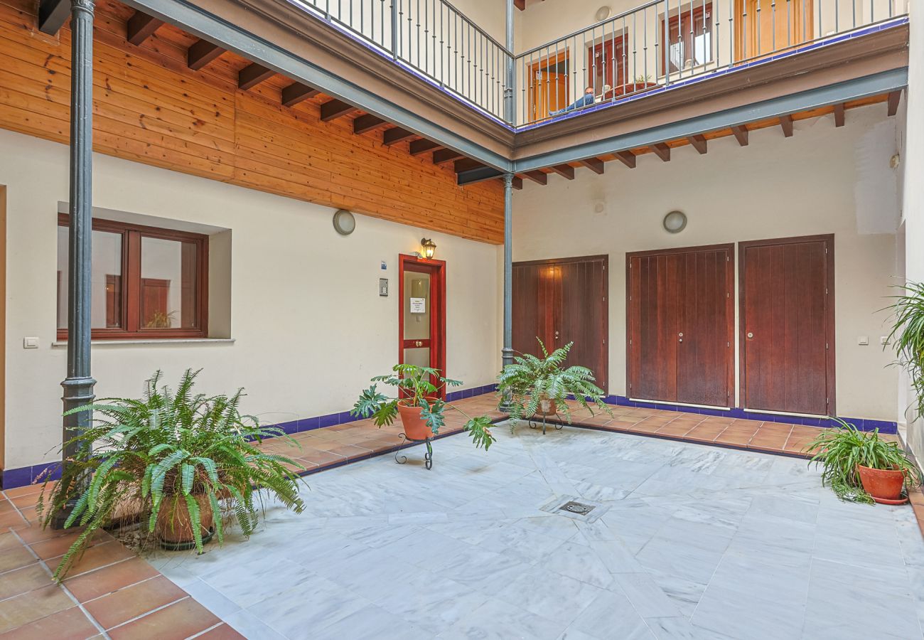 Apartamento en Sevilla - apartamento con encanto en centro Sevilla - Vacacional Sevilla