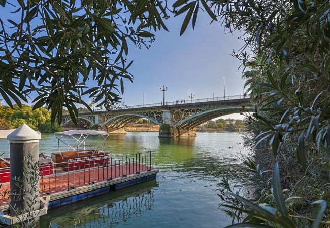 Apartamento en Sevilla - Castilla 12 - Vacacional Sevilla