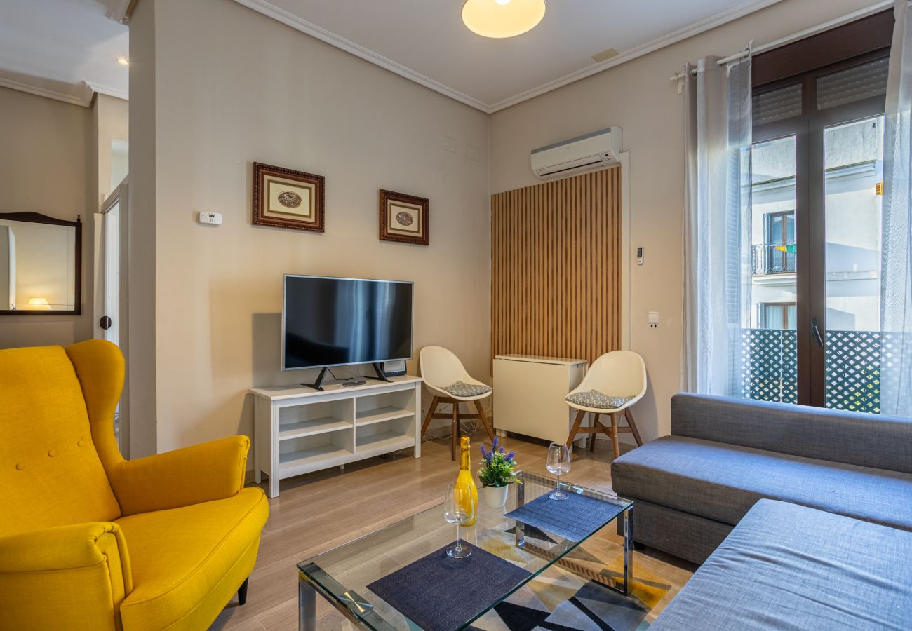 Apartamento en Sevilla - Castilla 12 - Vacacional Sevilla