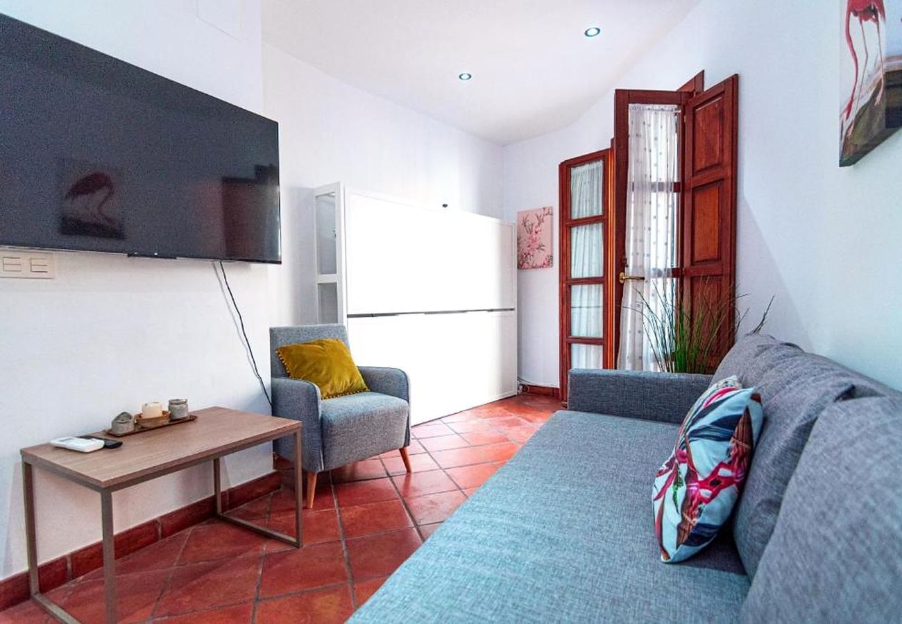 Apartamento en Sevilla - Las Setas boutique - Vacacional Sevilla