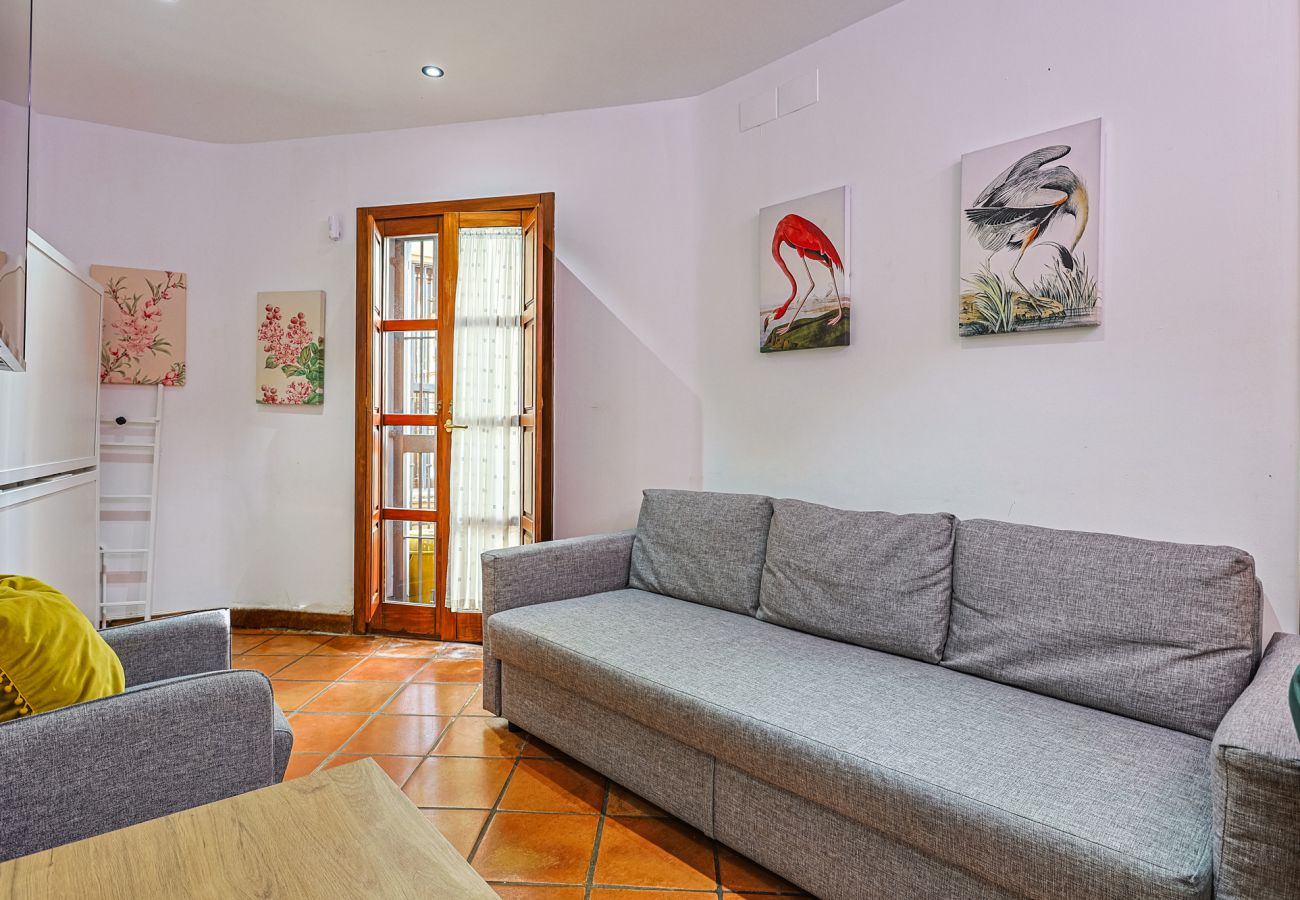 Apartamento en Sevilla - Las Setas boutique - Vacacional Sevilla