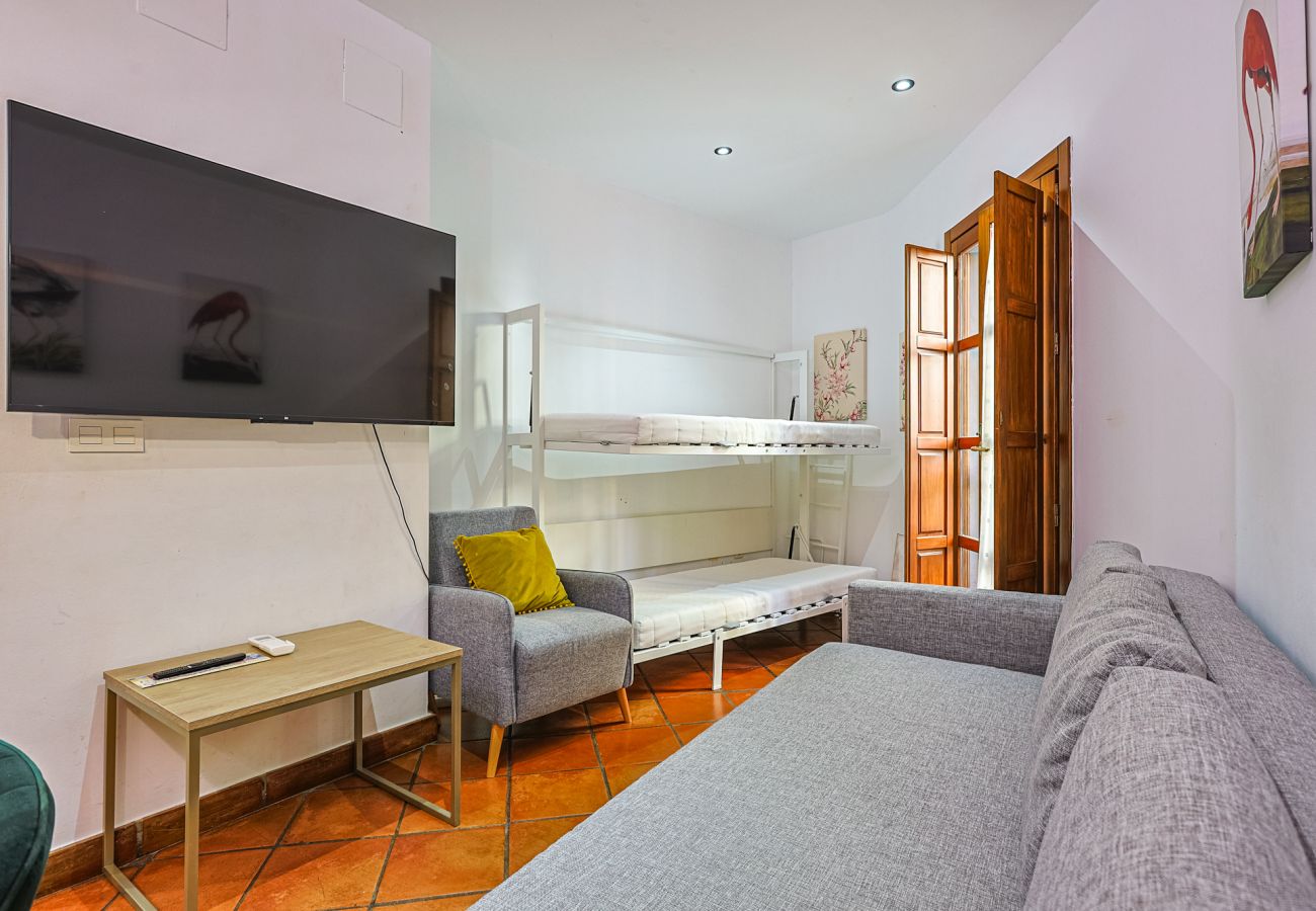 Apartamento en Sevilla - Las Setas boutique - Vacacional Sevilla