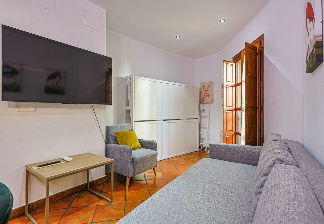 Apartamento en Sevilla - Las Setas boutique - Vacacional Sevilla