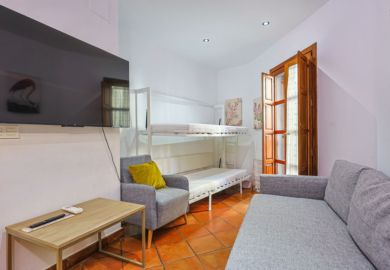 Apartamento en Sevilla - Las Setas boutique - Vacacional Sevilla
