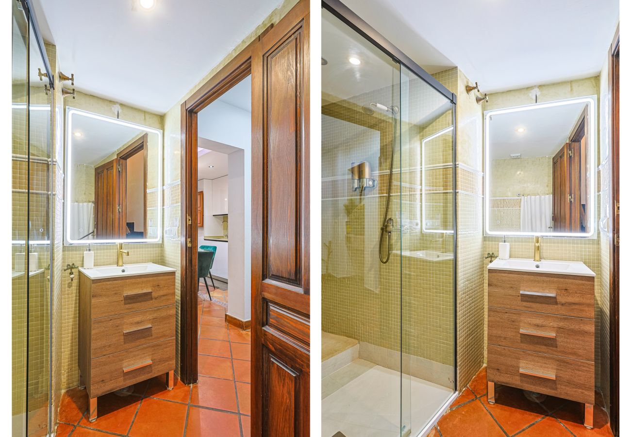 Apartamento en Sevilla - Las Setas boutique - Vacacional Sevilla