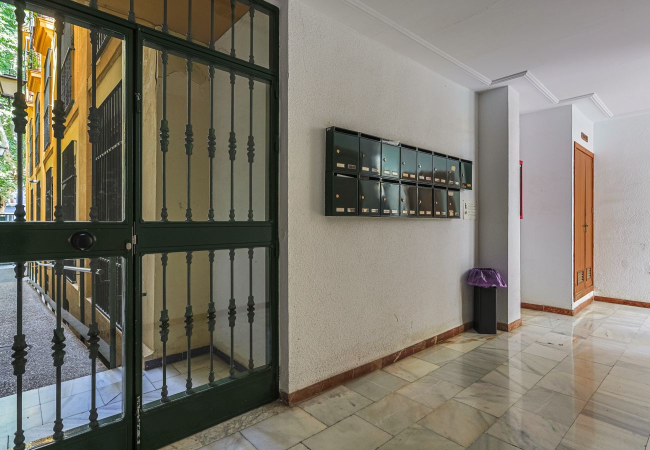 Apartamento en Sevilla - San Pedro 15 Vacacional Sevilla