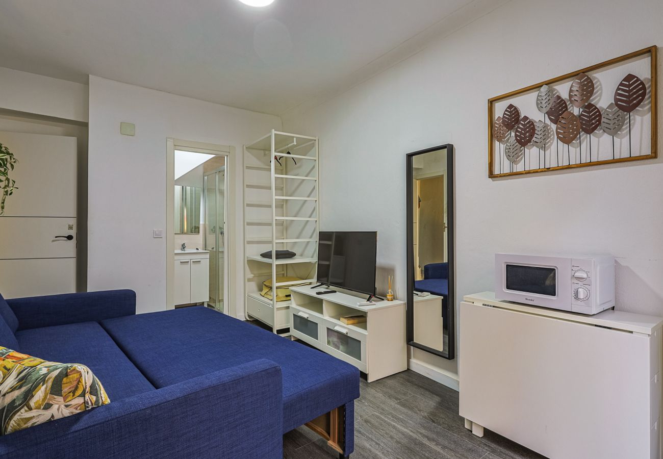 Estudio en Sevilla - Apartamento Harinas 1 - Vacacional Sevilla