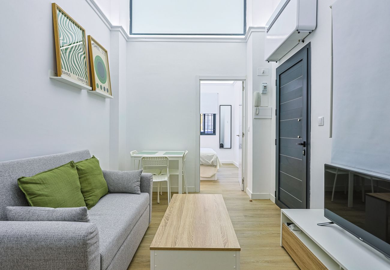 Apartamento en Sevilla - Muñoz Seca - Vacacional Sevilla