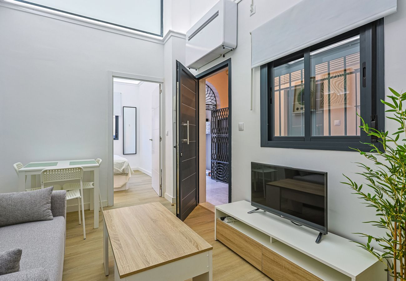 Apartamento en Sevilla - Muñoz Seca - Vacacional Sevilla