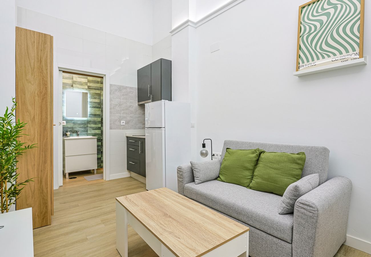 Apartamento en Sevilla - Muñoz Seca - Vacacional Sevilla