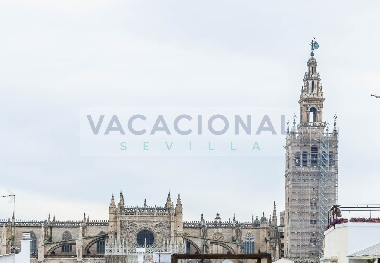 Apartment in Seville - Espectacular apartamento en calle Chicarreros