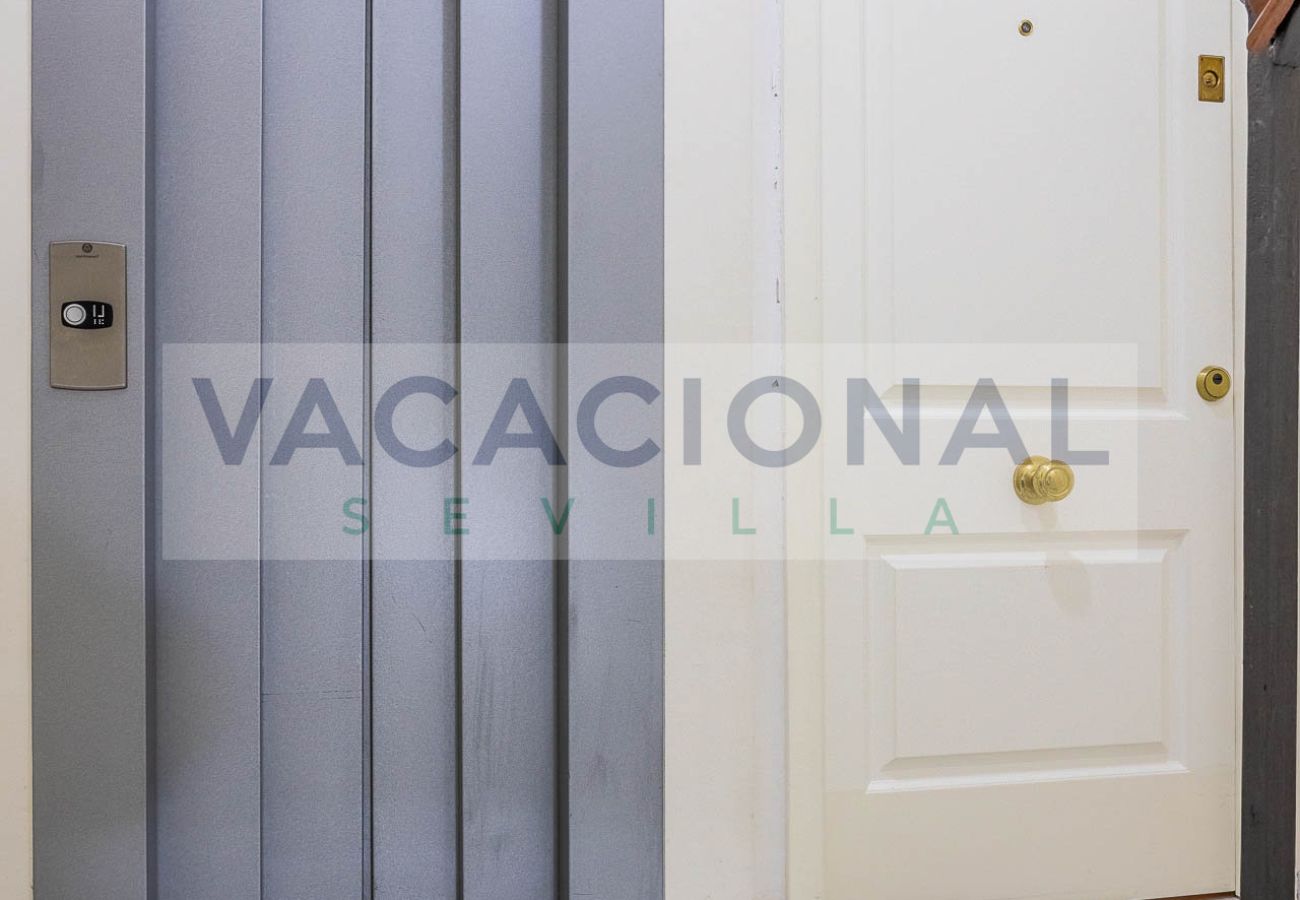 Apartment in Seville - Espectacular apartamento en calle Chicarreros