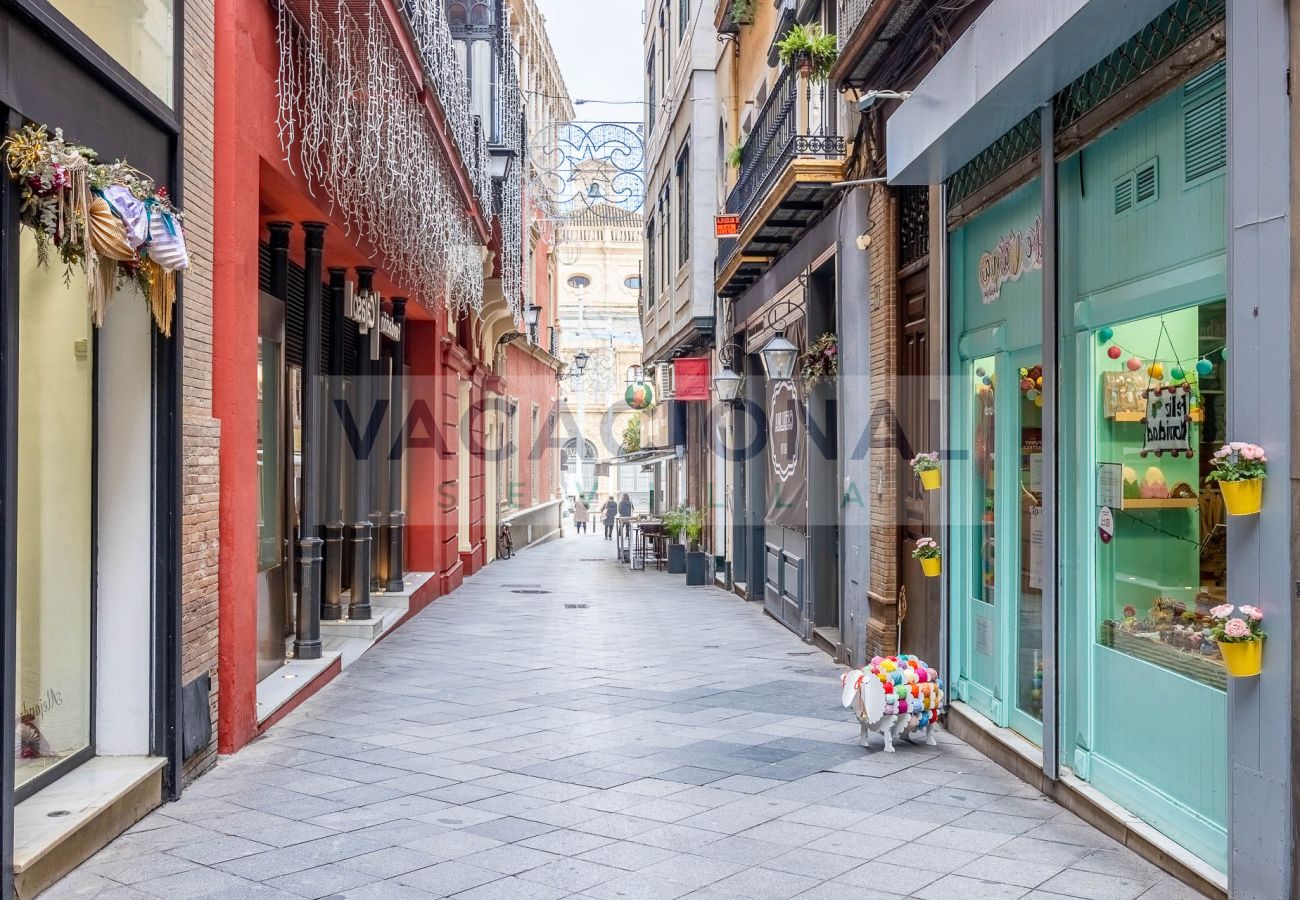 Apartment in Seville - Espectacular apartamento en calle Chicarreros