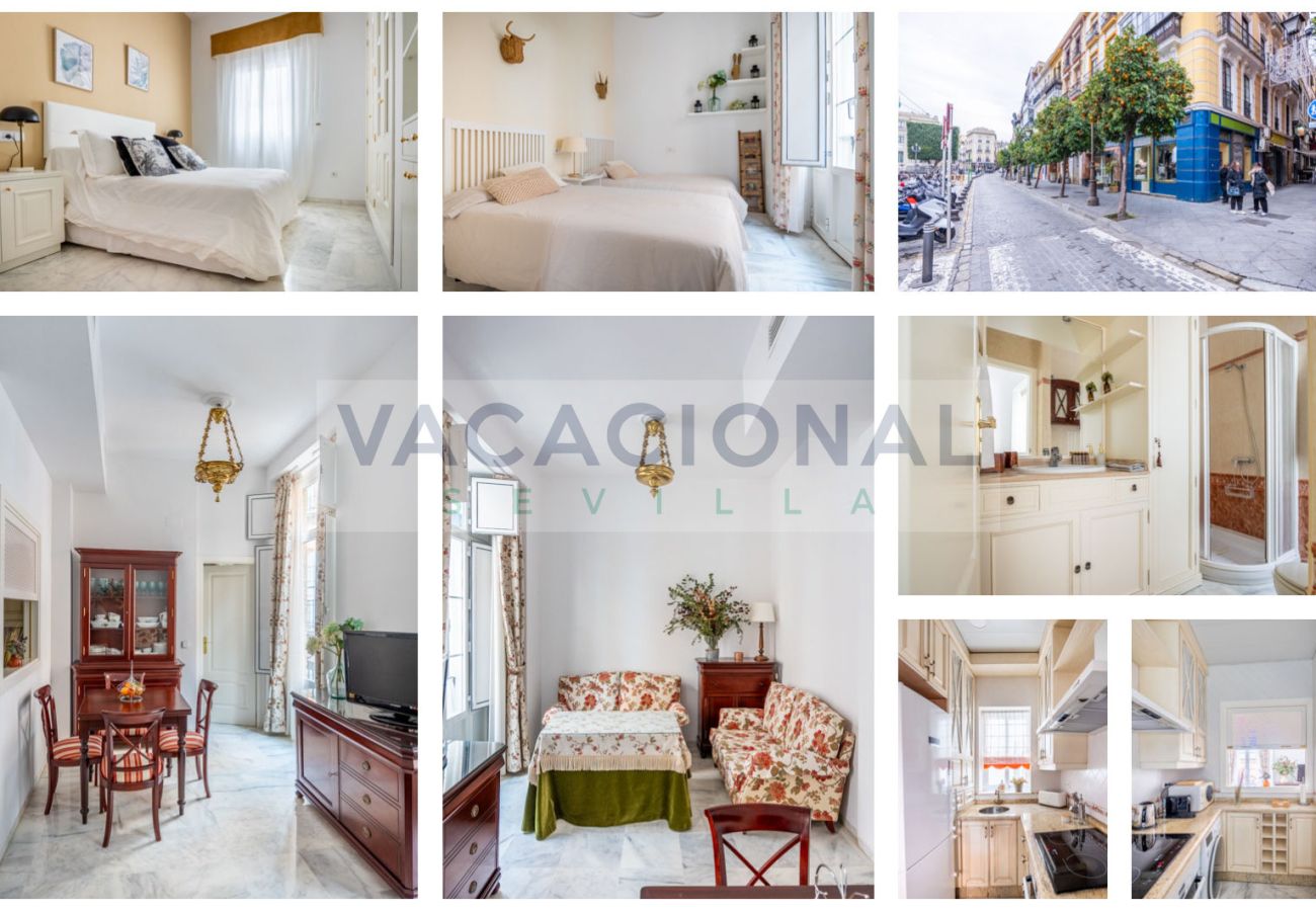 Apartment in Seville - Espectacular apartamento en calle Chicarreros