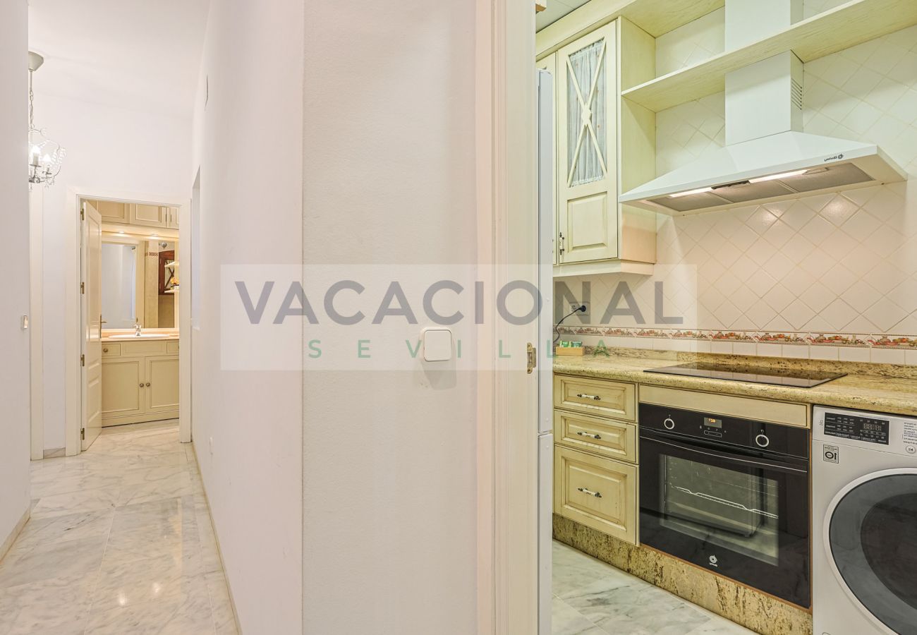 Apartment in Seville - Espectacular apartamento en calle Chicarreros