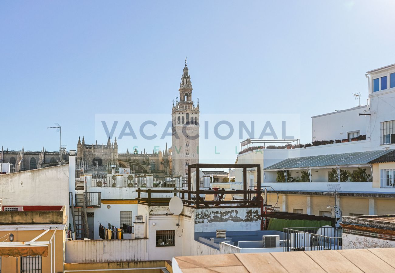 Apartment in Seville - Espectacular apartamento en calle Chicarreros