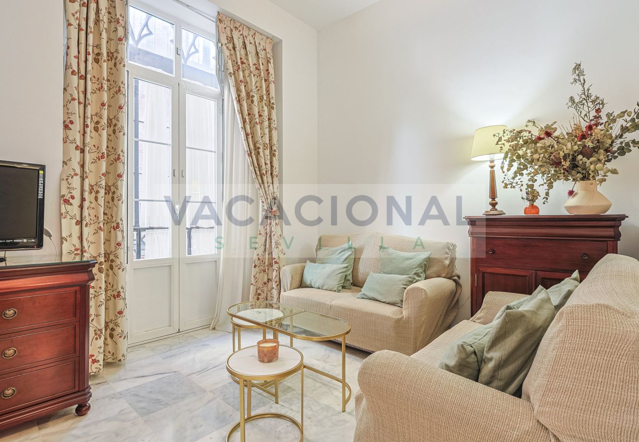Apartment in Seville - Espectacular apartamento en calle Chicarreros