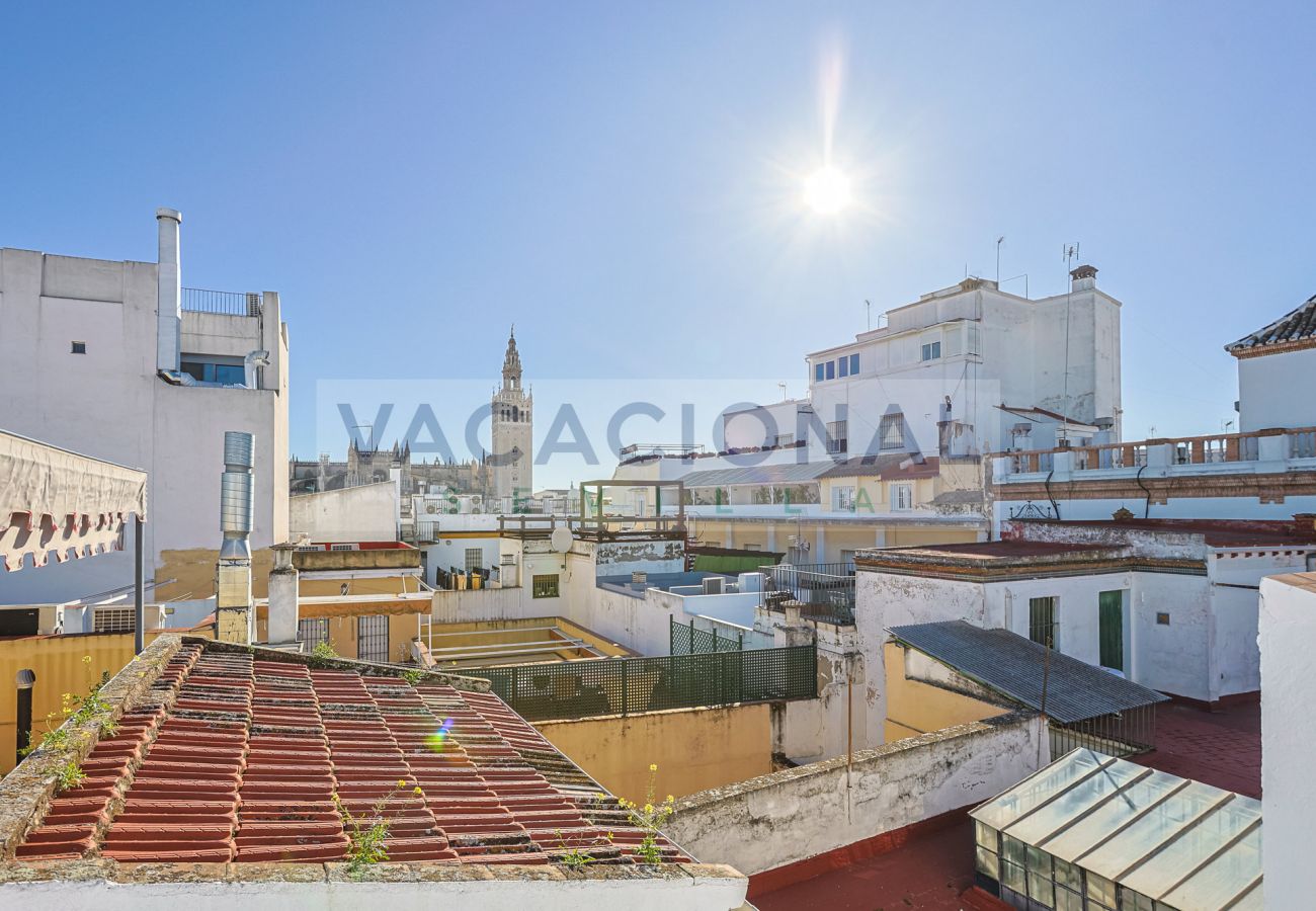 Apartment in Seville - Espectacular apartamento en calle Chicarreros