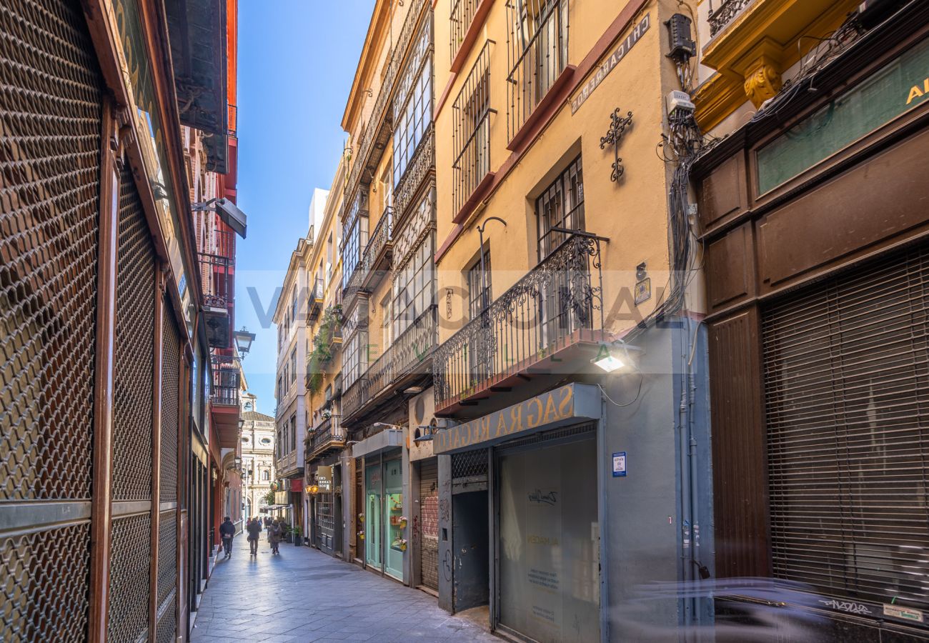 Apartment in Seville - Espectacular apartamento en calle Chicarreros