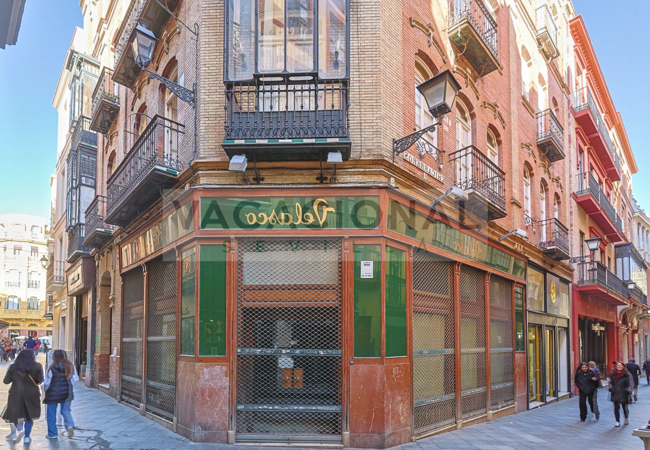 Apartment in Seville - Espectacular apartamento en calle Chicarreros