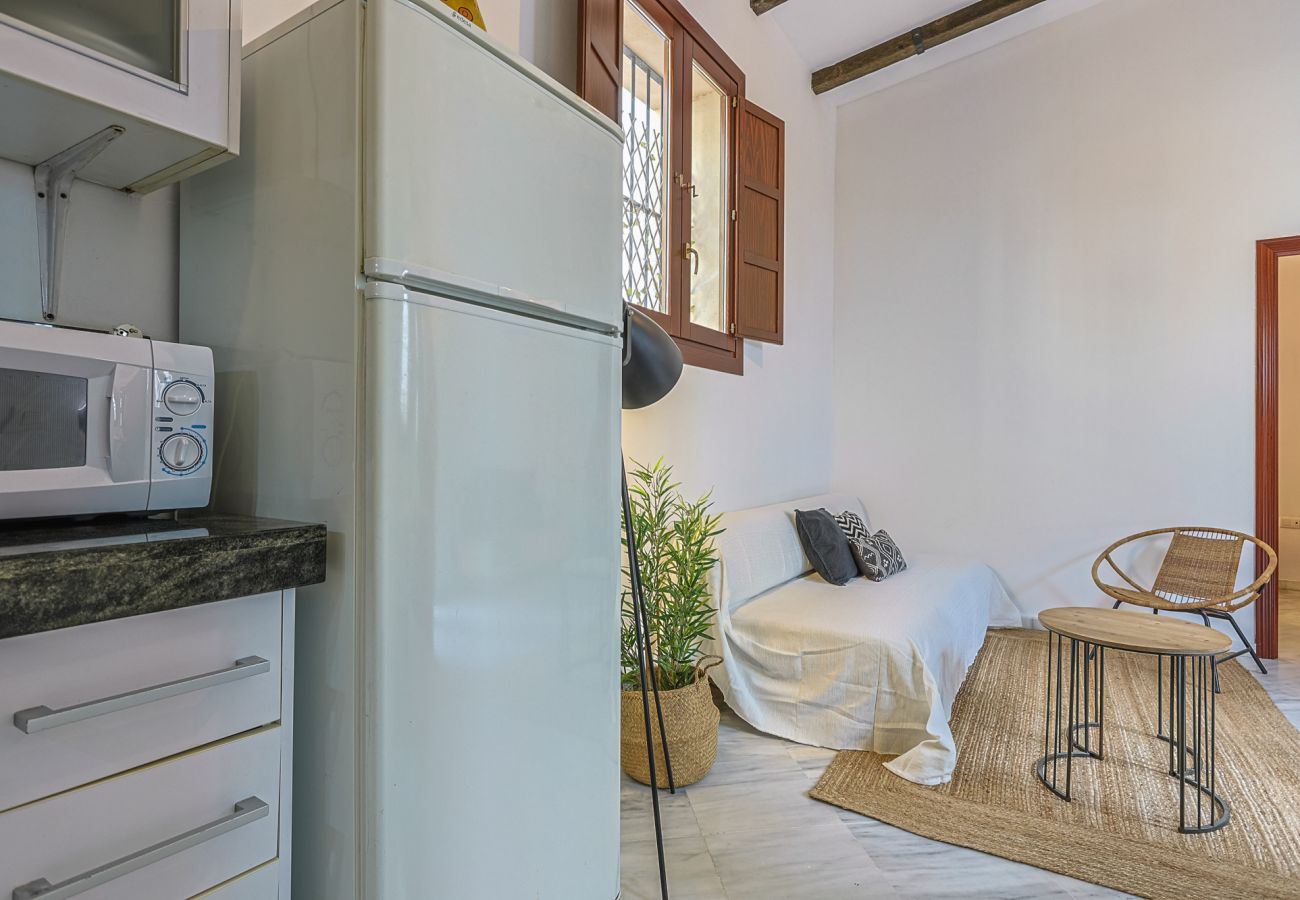 Apartment in Seville - apartamento con encanto en centro Sevilla - Vacacional Sevilla