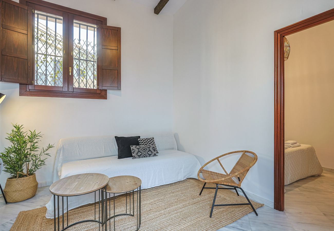 Apartment in Seville - apartamento con encanto en centro Sevilla - Vacacional Sevilla