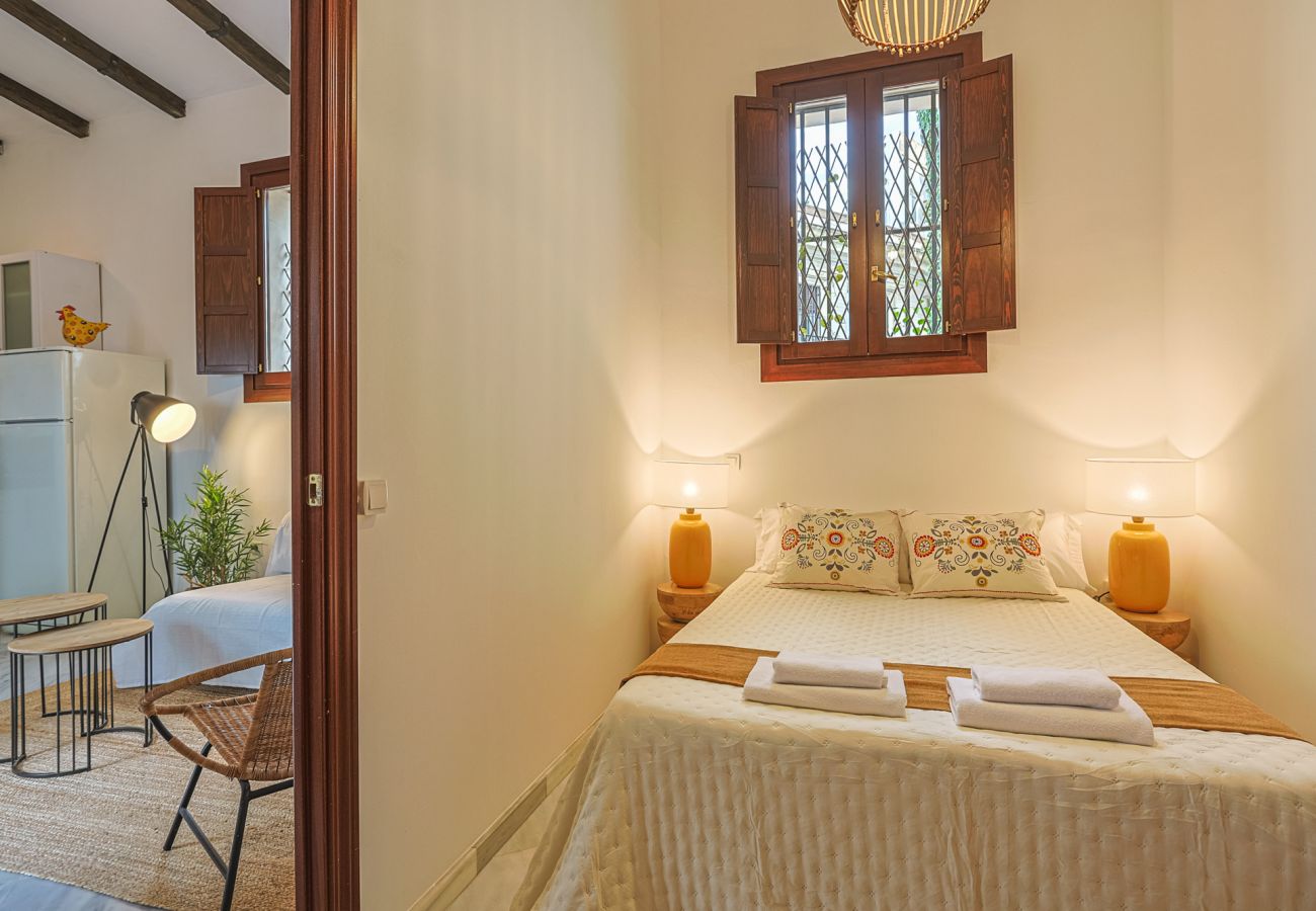 Apartment in Seville - apartamento con encanto en centro Sevilla - Vacacional Sevilla