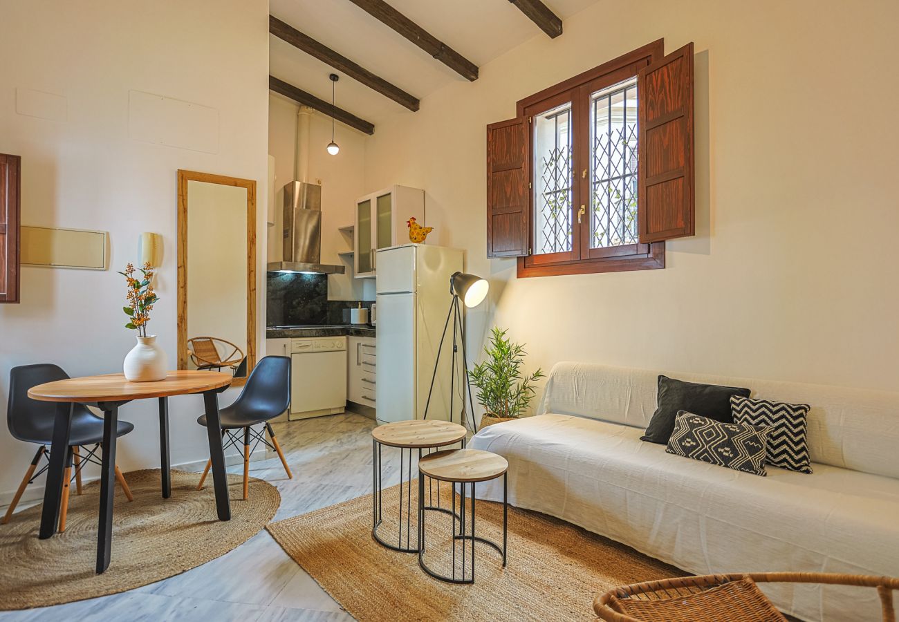 Apartment in Seville - apartamento con encanto en centro Sevilla - Vacacional Sevilla