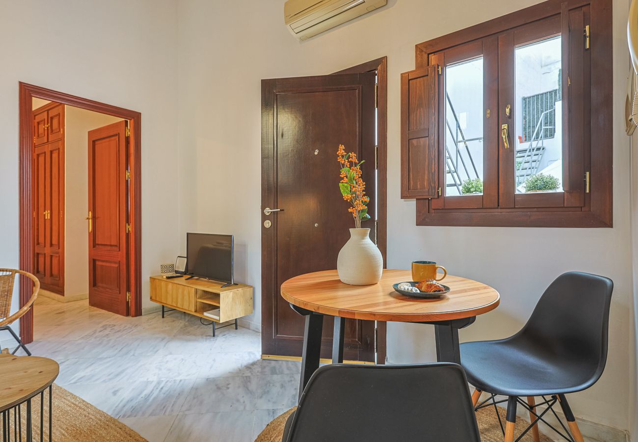 Apartment in Seville - apartamento con encanto en centro Sevilla - Vacacional Sevilla