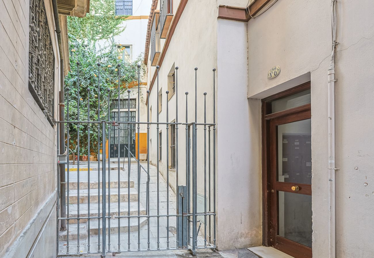 Apartment in Seville - apartamento con encanto en centro Sevilla - Vacacional Sevilla