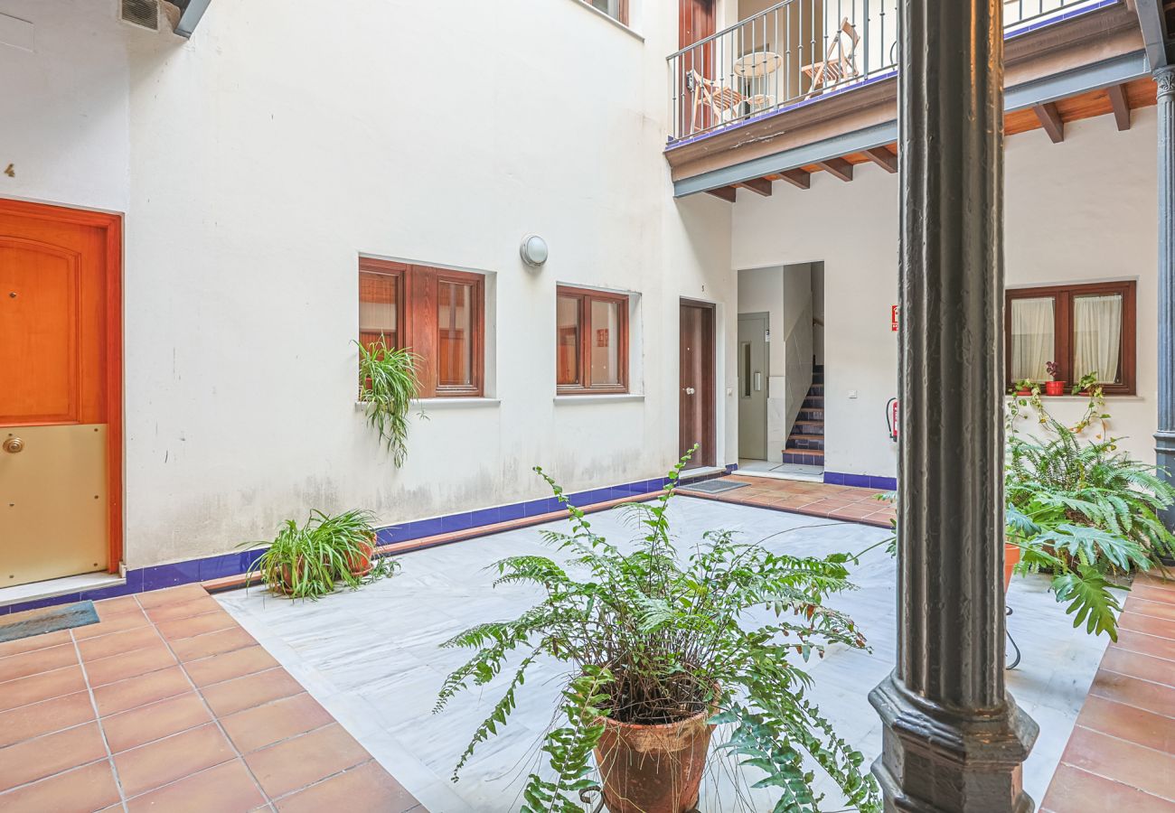 Apartment in Seville - apartamento con encanto en centro Sevilla - Vacacional Sevilla