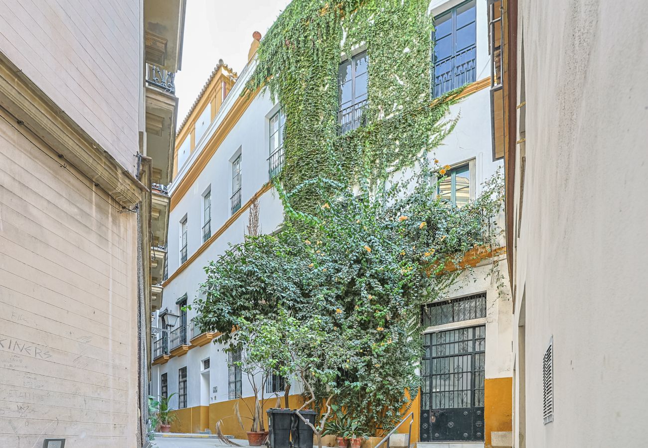 Apartment in Seville - apartamento con encanto en centro Sevilla - Vacacional Sevilla