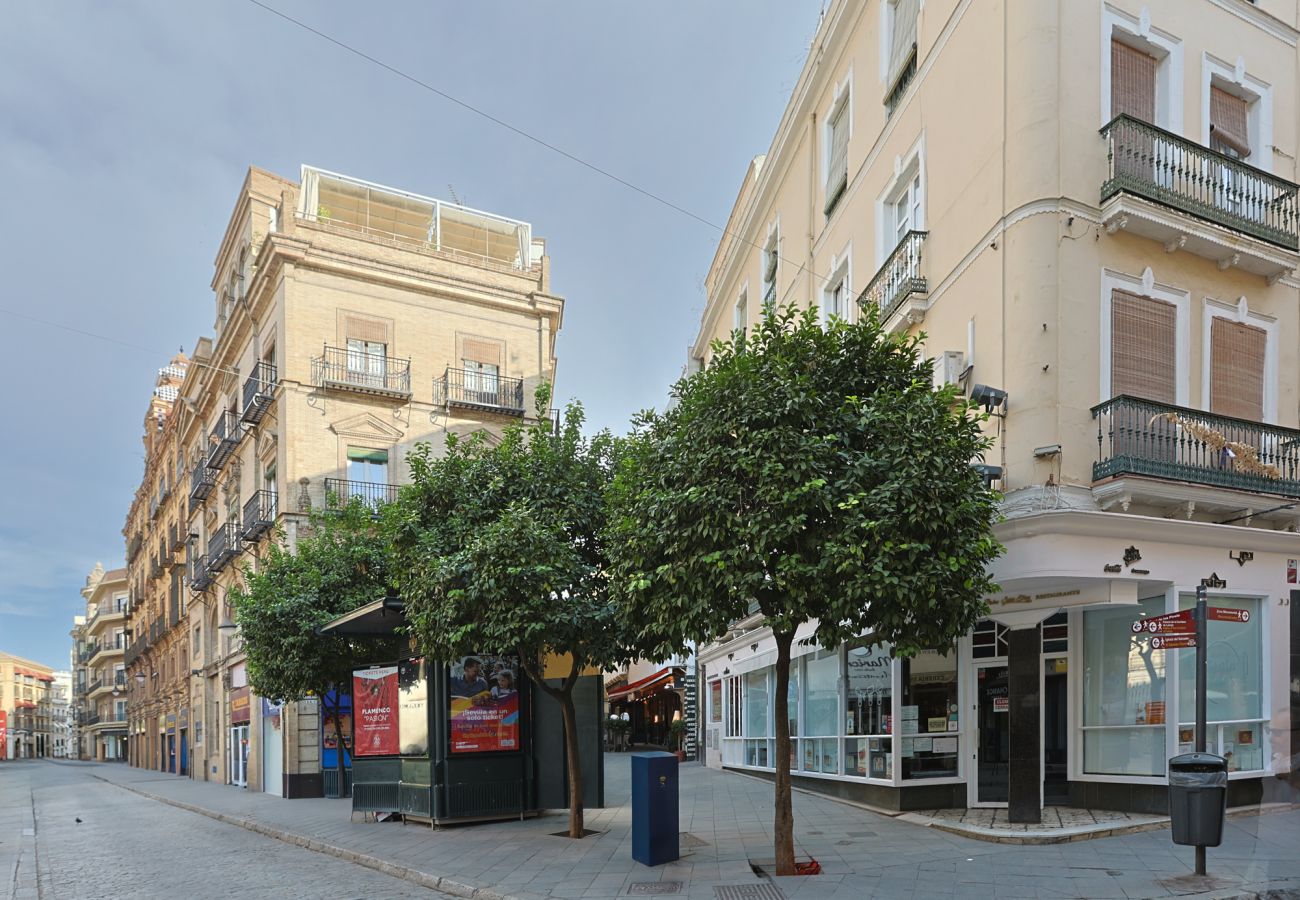Apartment in Seville - apartamento con encanto en centro Sevilla - Vacacional Sevilla