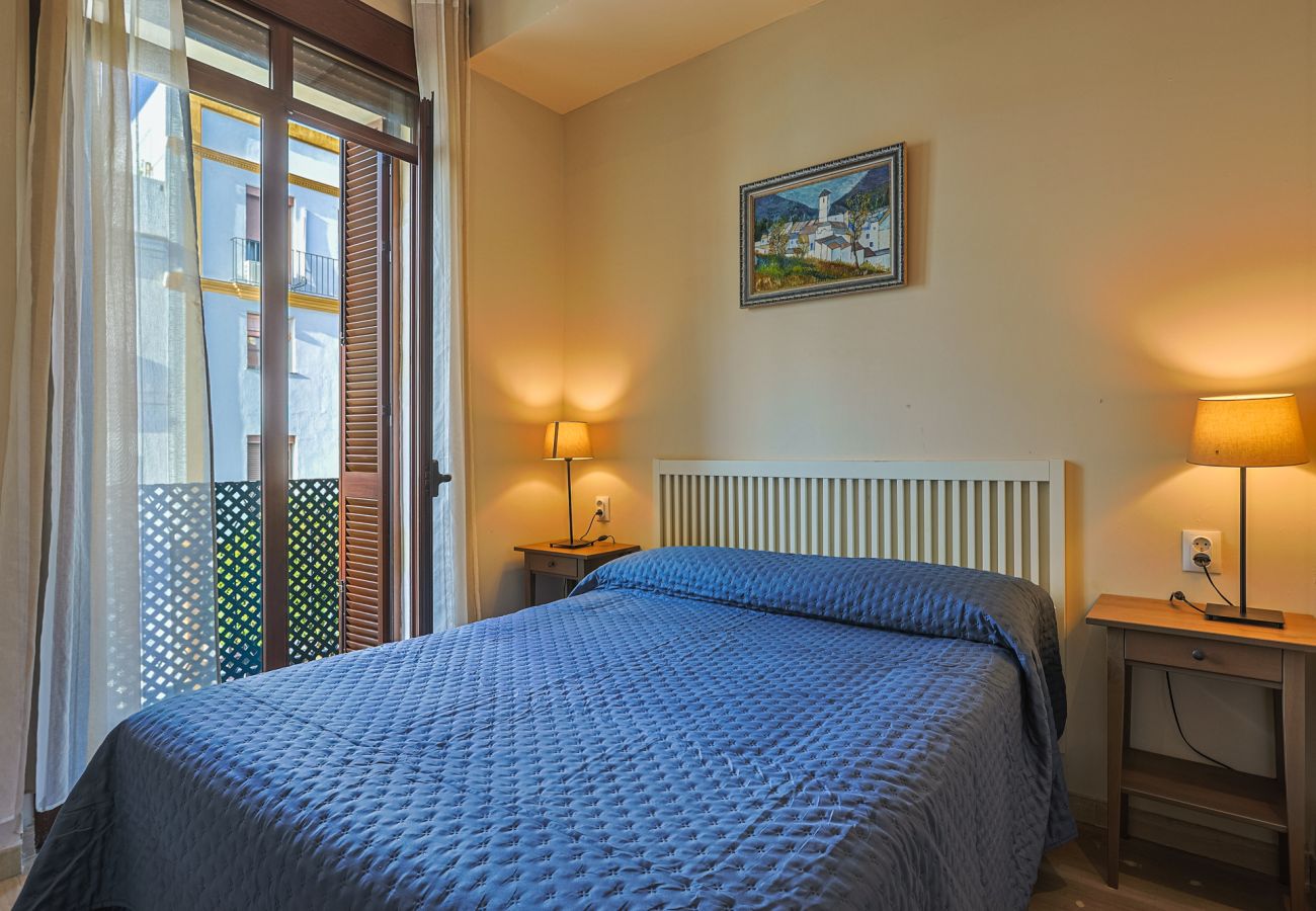 Apartment in Seville - Castilla 12 - Vacacional Sevilla