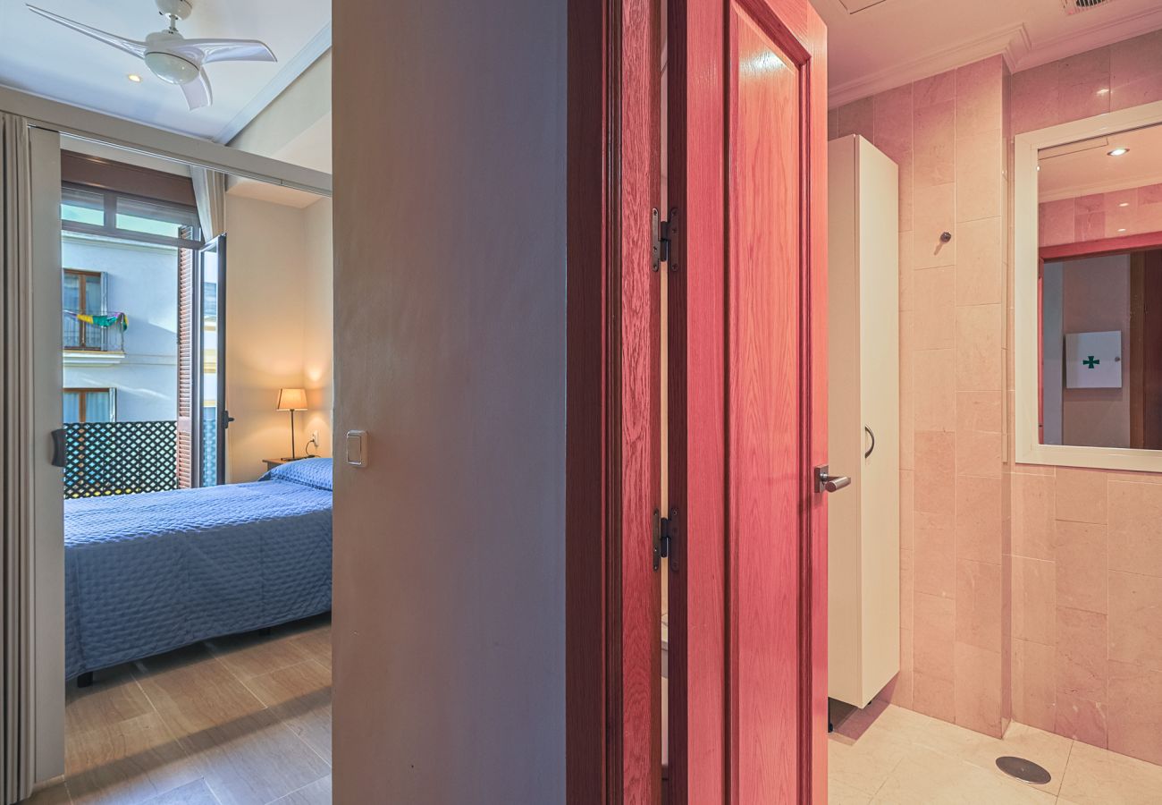 Apartment in Seville - Castilla 12 - Vacacional Sevilla